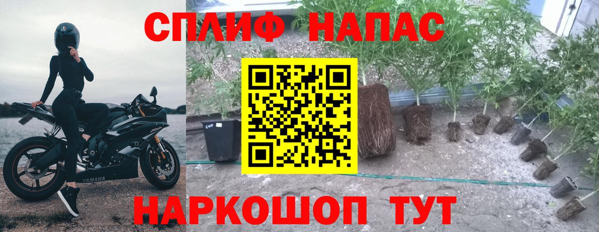 A-PVP Йошкар-Ола